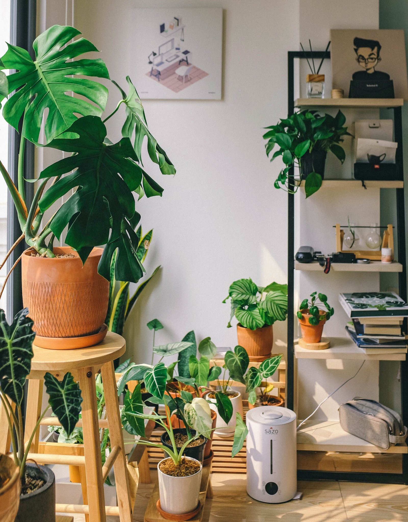 green potted plant on brown wooden table